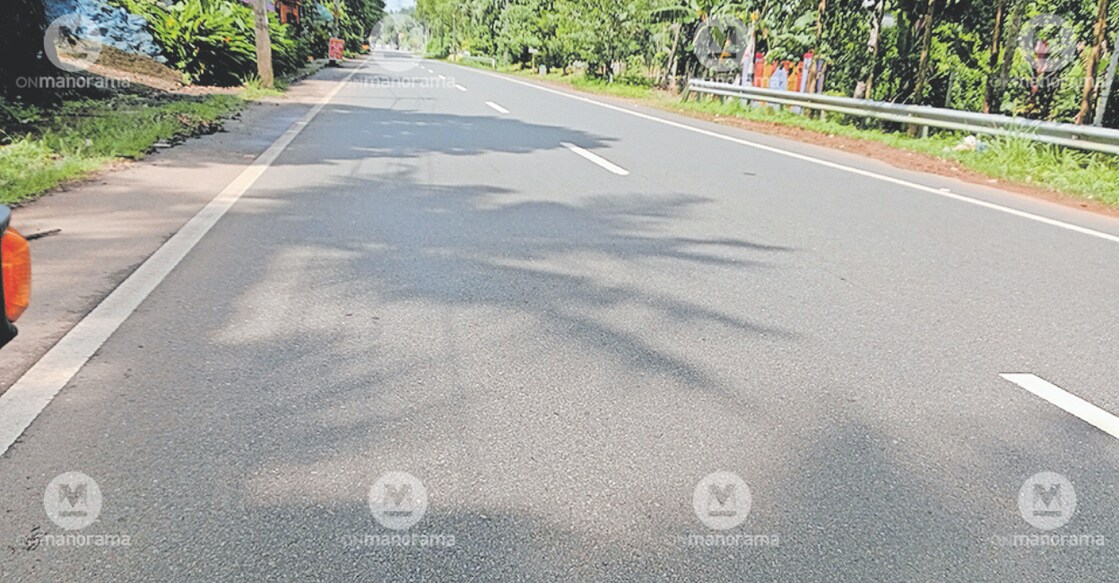 Article Image-Haritha - 4