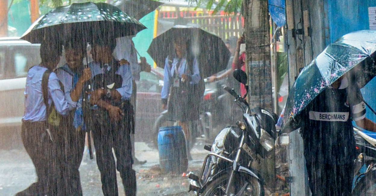 Kerala rain: Holiday for educational institutions in Idukki on Wednesday