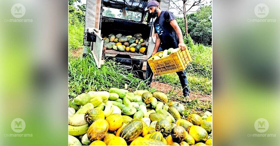 K Rajeesh, a farmer from Keezhatoor, loading vegetables from his farm into his jeep. Photo: Special arrangement