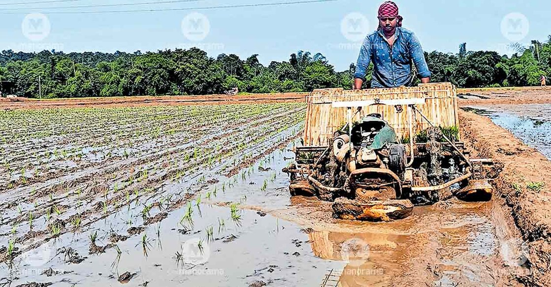 machine-assisted-sowing