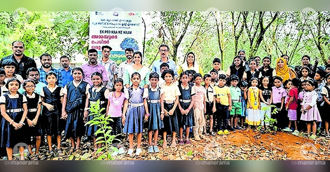 Panchayat member Ranji Suresh inaugurates the Ammayude Peril Oru Maram project at Ezhakkaranadu Government UP School. Photo: Manorama