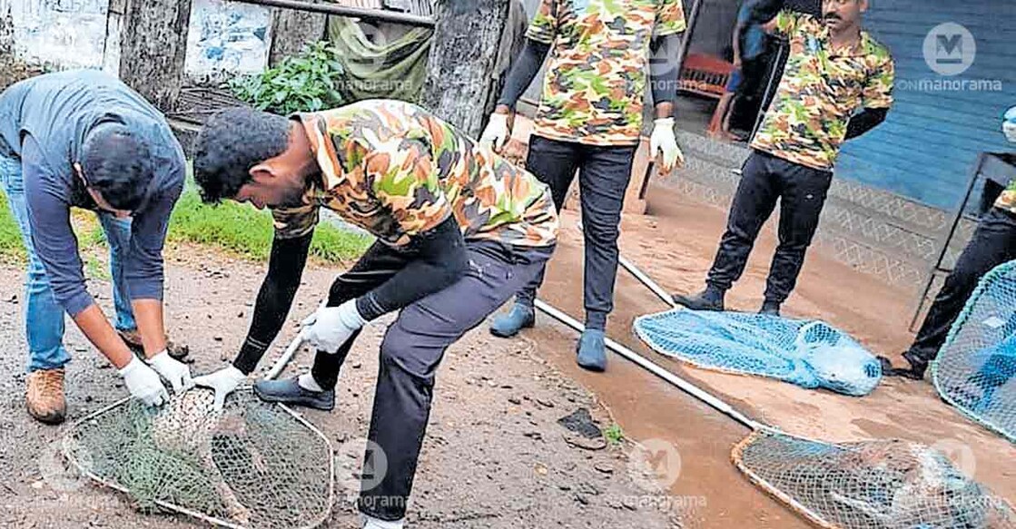 street-dog-vaccination