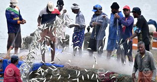 Sea holds no charm for new gen, Kerala fishermen risk losing legacy to migrants