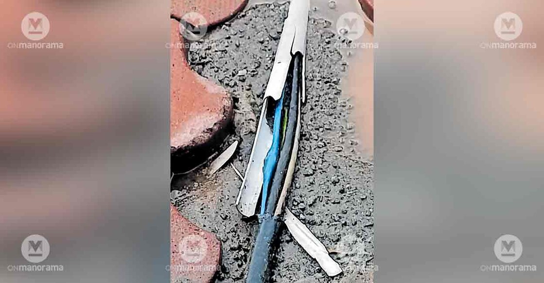 power-cables-thodupuzha