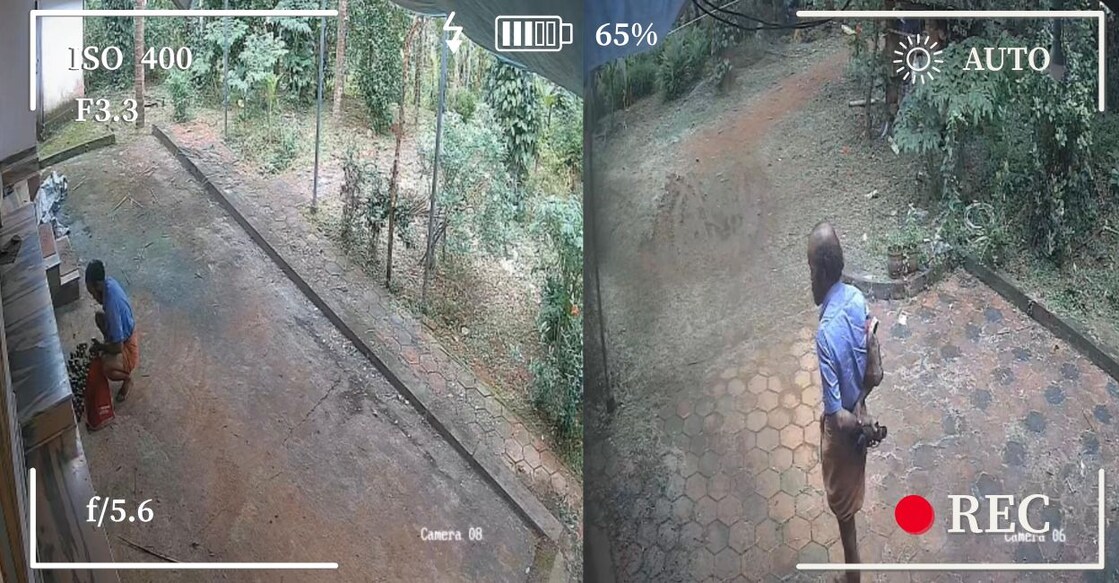 Article Image-Haritha - 2