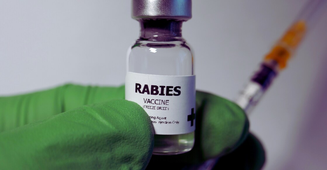 Representational image. Canva. 