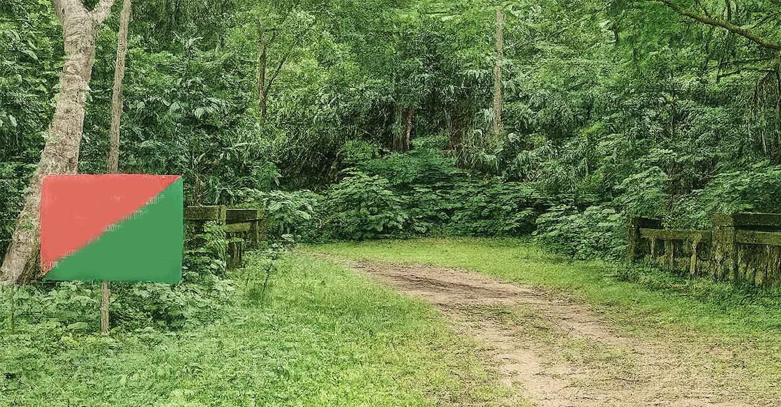This is an AI-generated image.