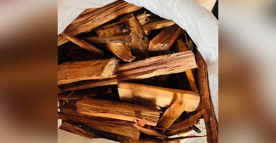 Forest Vigilance wing  seizes sandalwood logs worth ₹25,000. Photo: Special arrangement