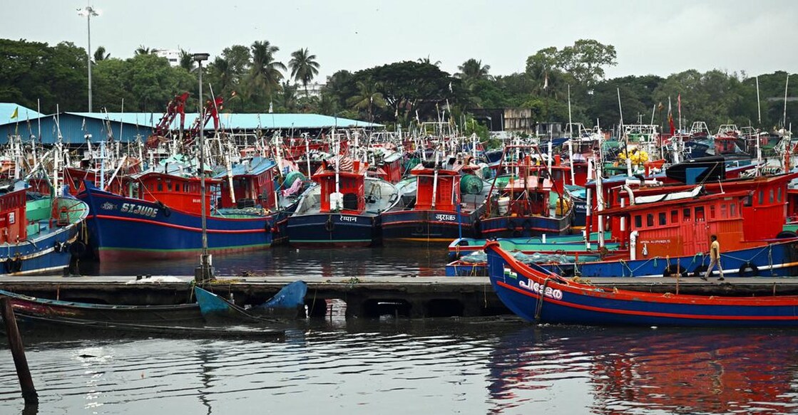 Fishing boats docked at the harbour. Photo: Special Arrangement