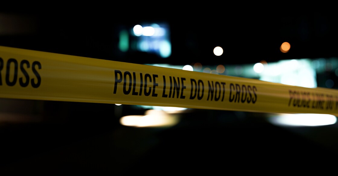 Vaishnavi article image  - 2