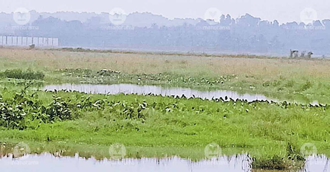 The North Annakara Kolpadavu polder, which is being left fallow due to lack of basic facilities and saline water intrusion. Special arrangement