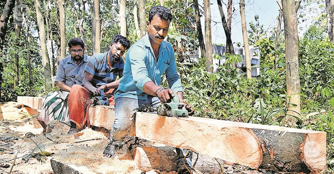 Artisans preparing a new frame for a Nedumkuthira at Chathannoor. Photo: Manorama
