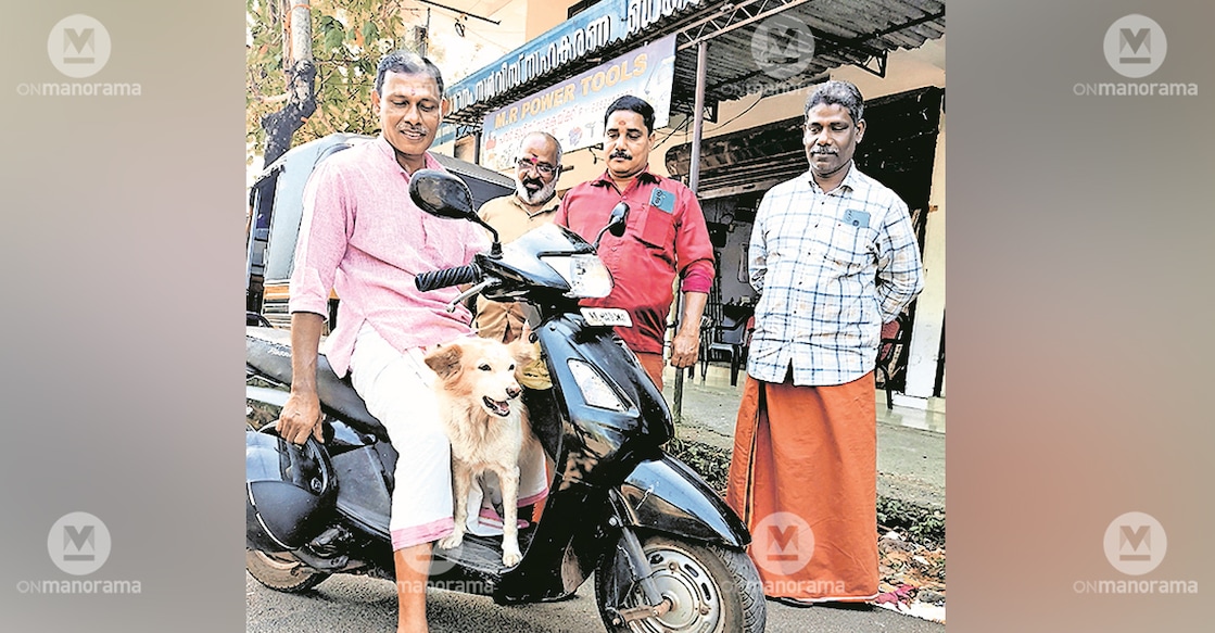 Sundari, the pet dog of Pulimoodu Junction, standing in front of local resident Prakash Moolasheri's scooter, as residents Suresh, Rajesh, and Prasannan of Ithithanam look on. Photo: Manorama