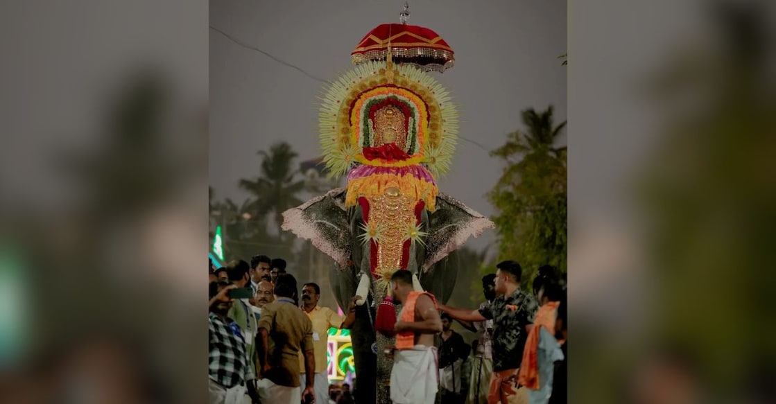 Photo: Instagram/ @anayadidevaswom