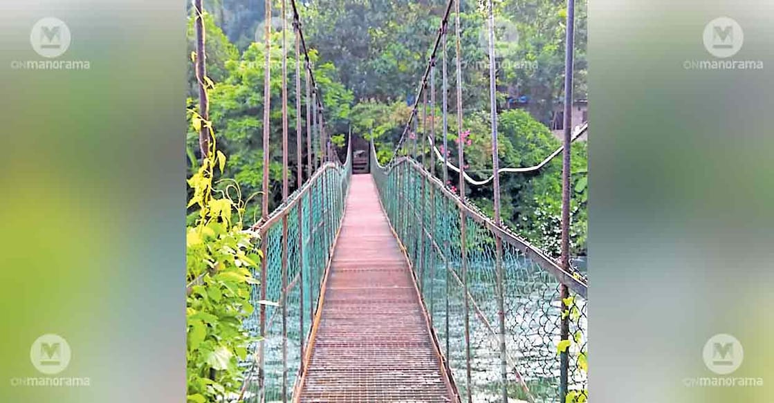 hanging-bridge