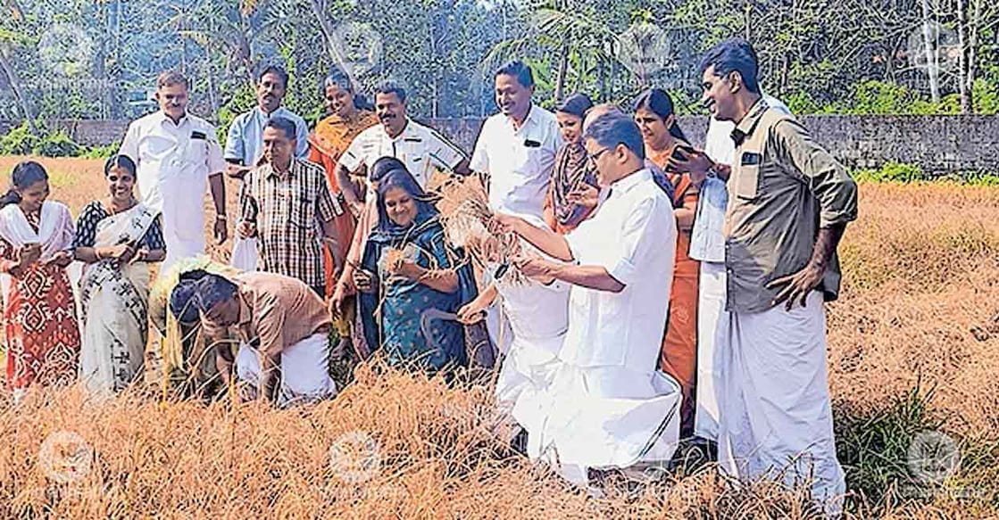 harvest-kandanadu
