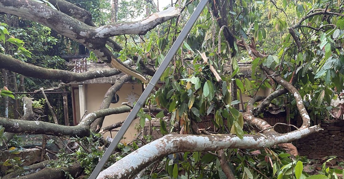 The damaged sustained significant damage in the incident. Photo: Special Arrangement