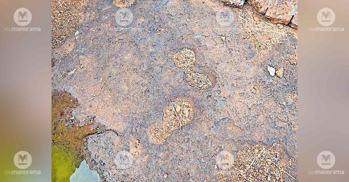 megalithic-rock-engraving