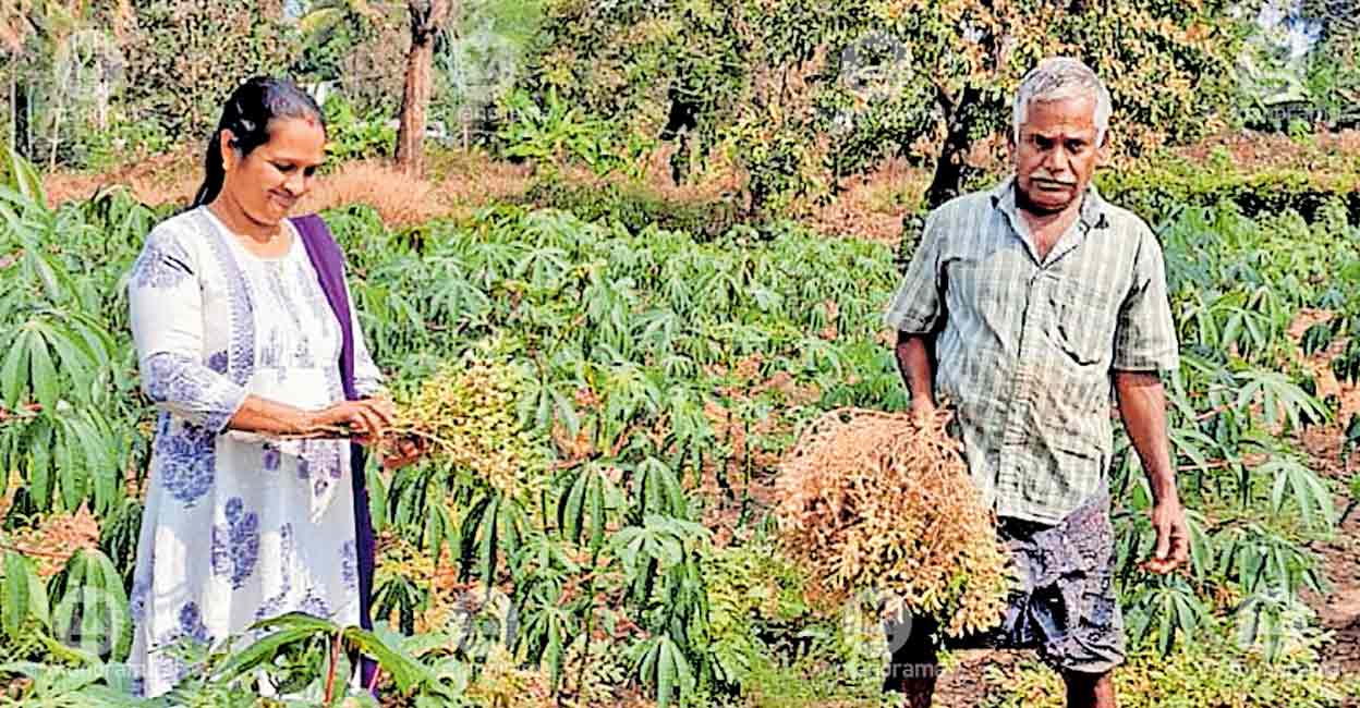 Farmer from Pulpally sets model with diverse organic crops
