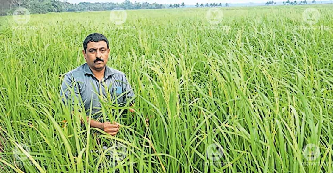 navas-vaniyapurackal