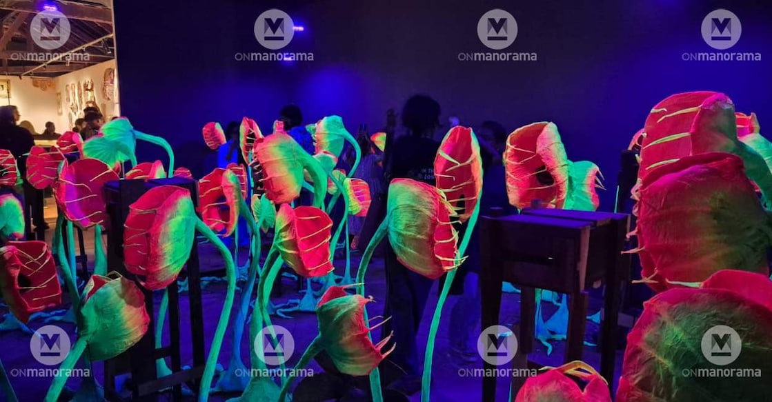 'The Quiet Weight of Shadows', an immersive installation by Assamese artist Dhiraj Rabha at Kochi-Muziris Biennale. Photo: Special Arrangement