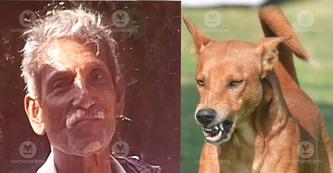 Narayanan (L), a dairy farmer in Kasaragod committed suicide after his bull died of rabid dog attack. Photo: Special Arrangement/ Manorama Archives