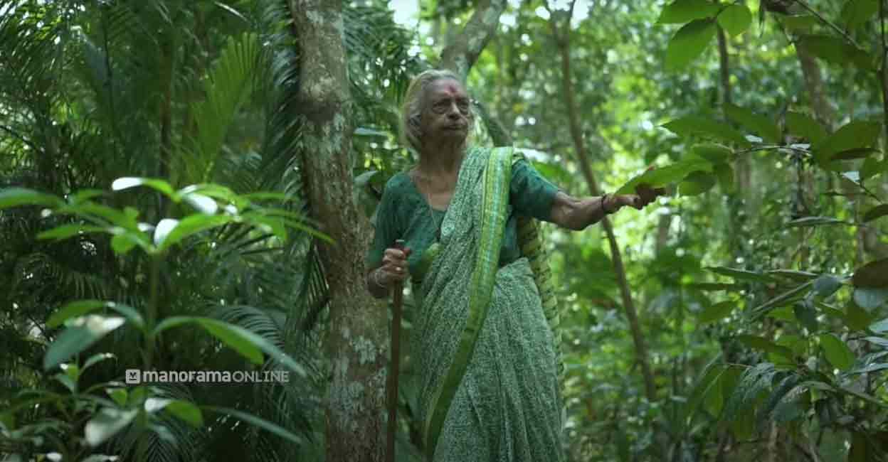A 92-year-old woman creates a rare green sanctuary in the heart of Alappuzha