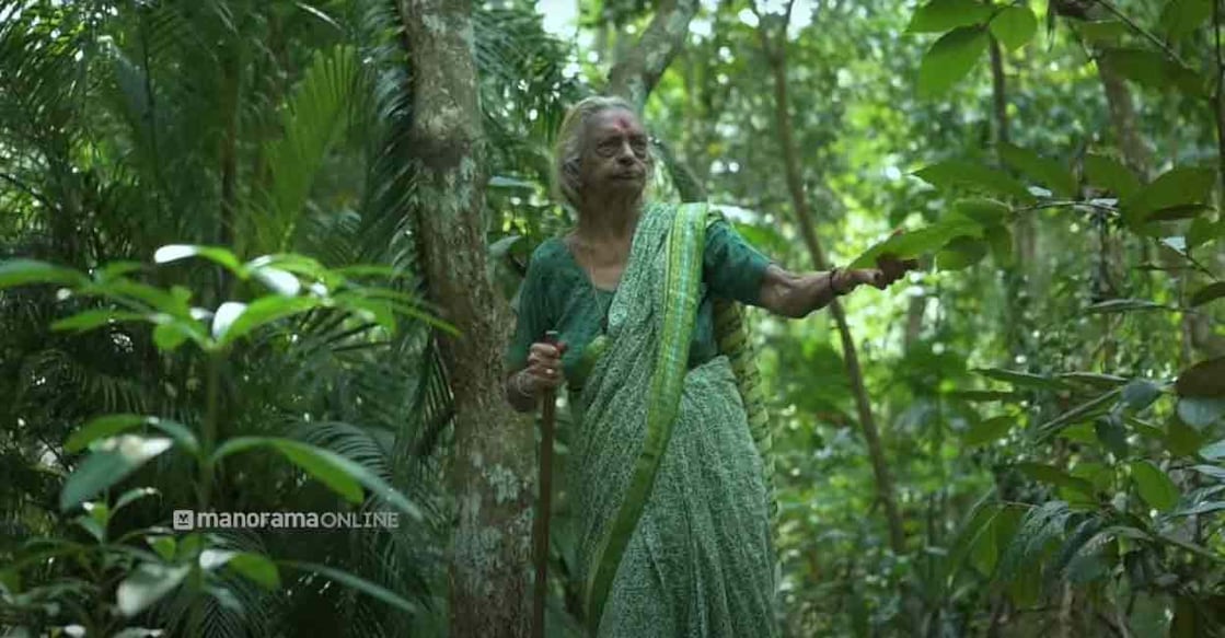 devaki-amma-forest