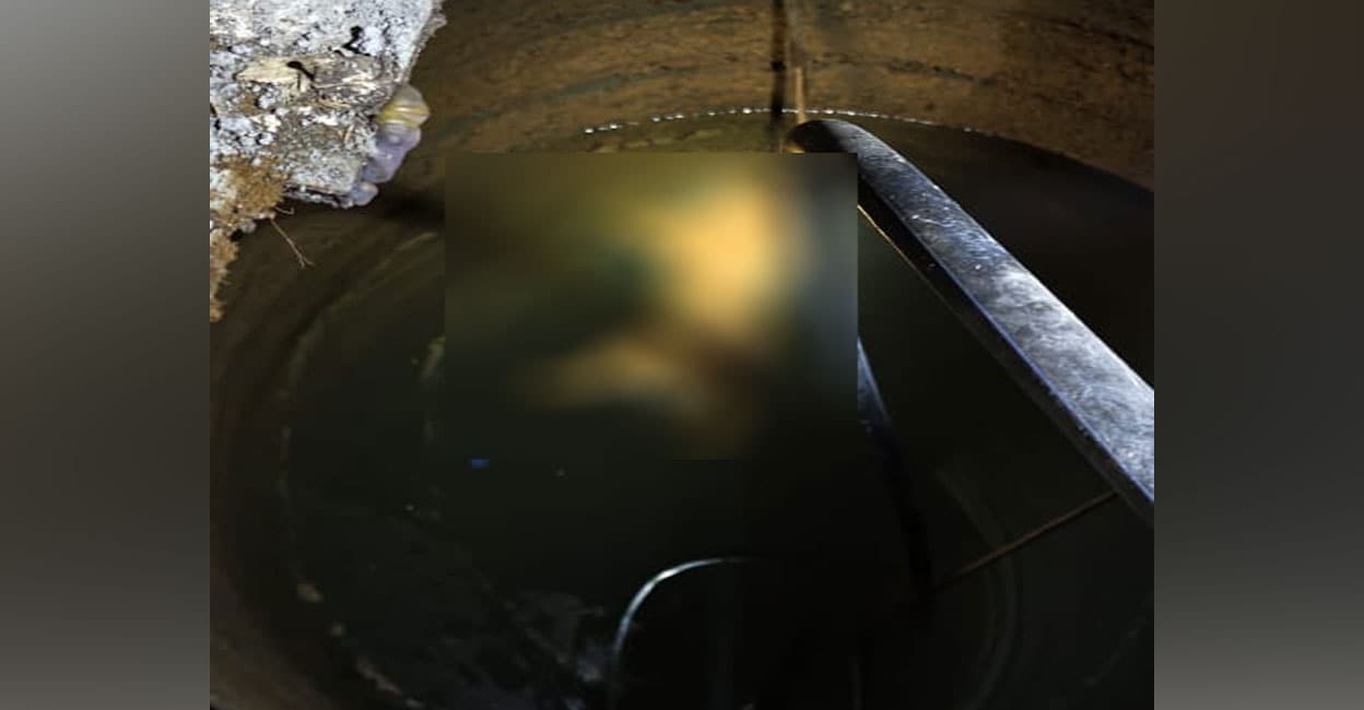 Health dept shuts down hotel in Idukki after dead cat found in well