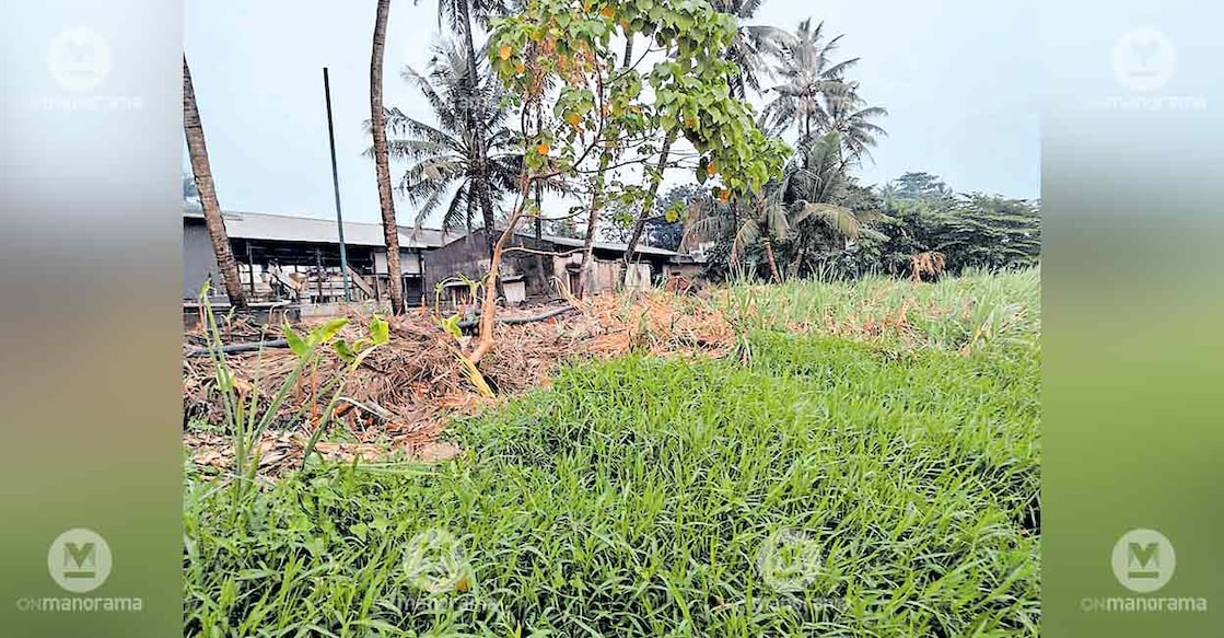 periyar-riverbank-edayar