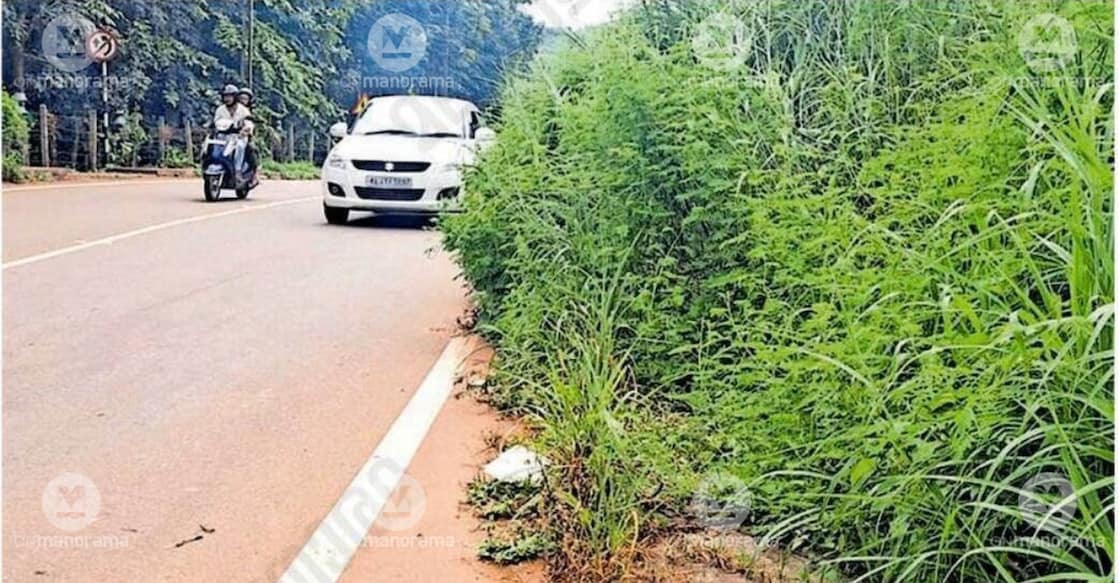 Anaswara Author Template  - Edakkara hilly highway