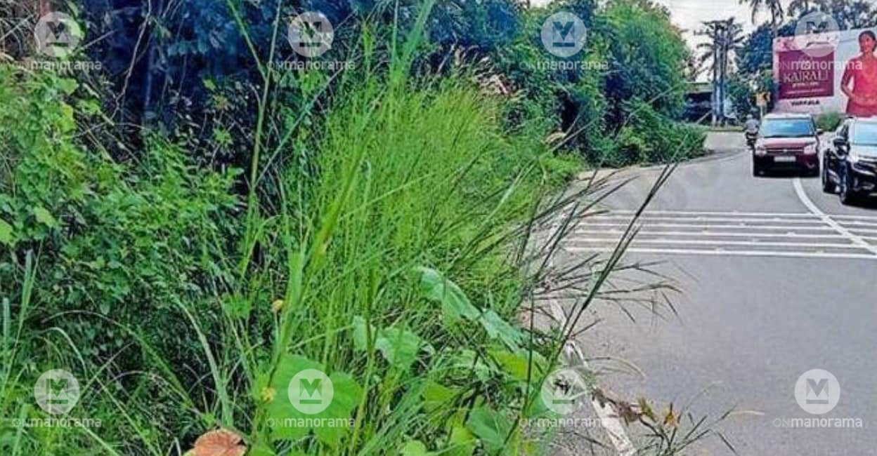 Navaikulam residents allege that authorities have ignored appeals to clear dangerous road overgrowth hiding wild animals. Despite fund allocations,