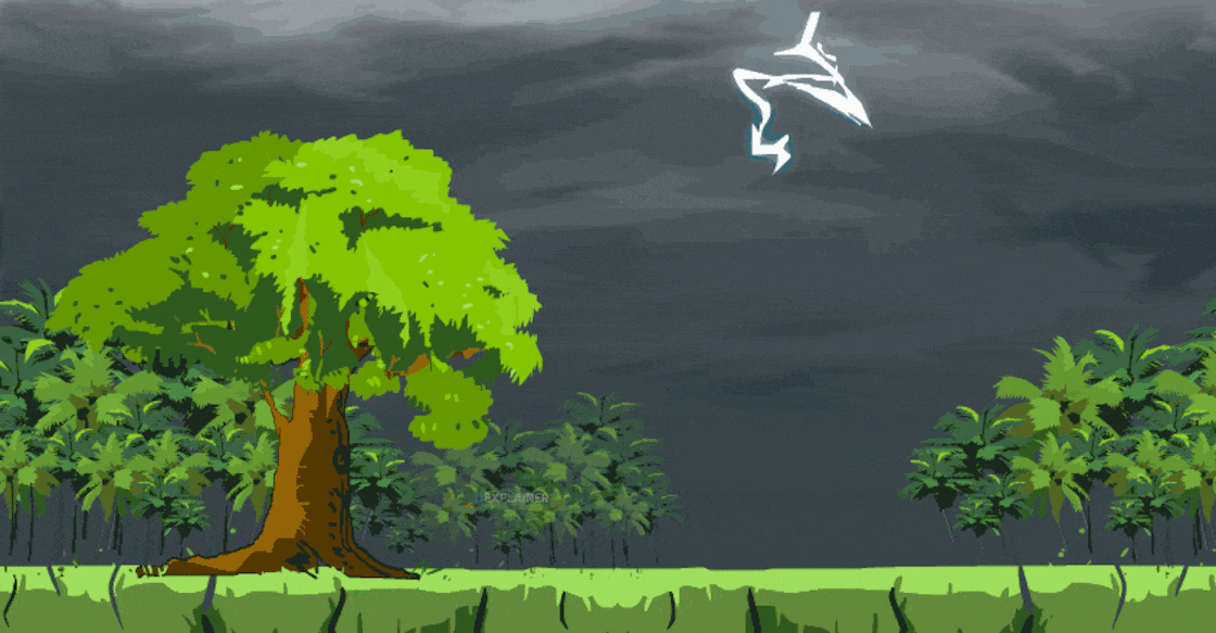 lightning-main-web-gif