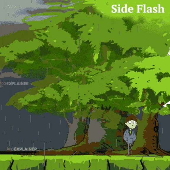 ligtning-side-flash-mob_gif