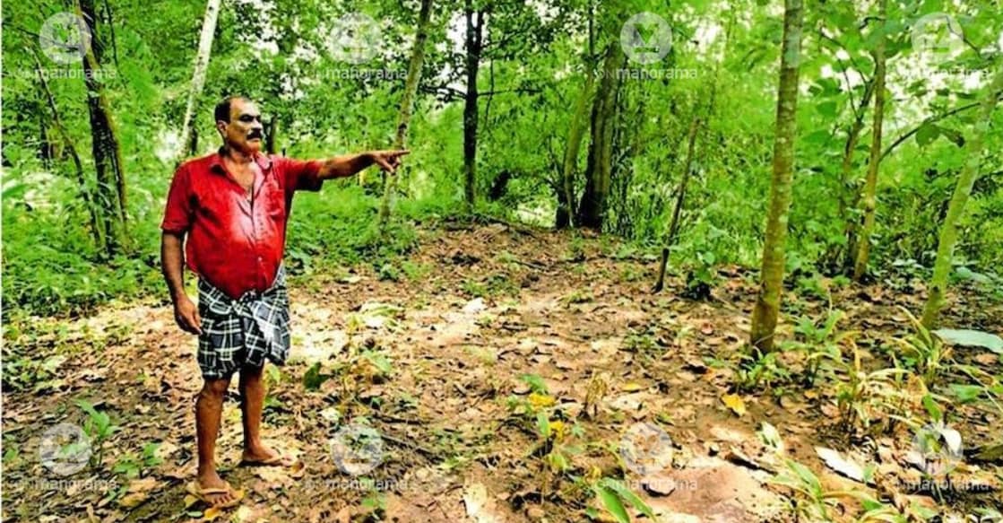 Mohan Varappuzhayath points to the land acquired at Varappuzhayath ghat on the Pampa for drawing water for the Koipuram comprehensive drinking water project. Photo: Special arrangement