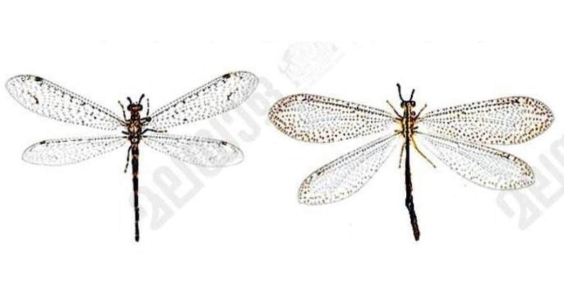Untitled design - 1