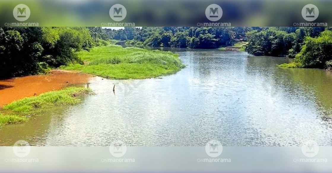 An exposed riverbed visible to the east of the Vazhuvadi Kadavu bridge on the Achenkovil River. Photo: Special arrangement