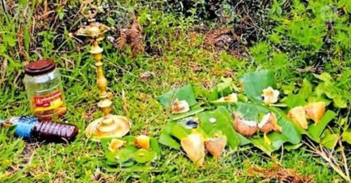 A Kurinji Pongala was organized by Munnar Government College and members of the Muthuvan community, coinciding with the Neelakurinji blooming season. Photo: Special Arrangement.