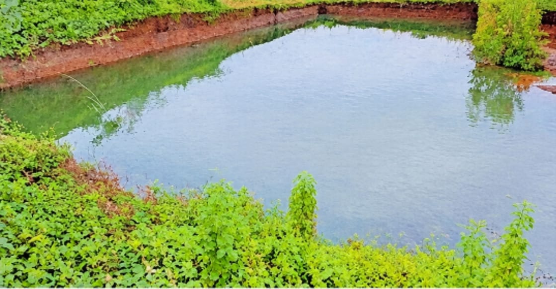 DP picture - kannur-land