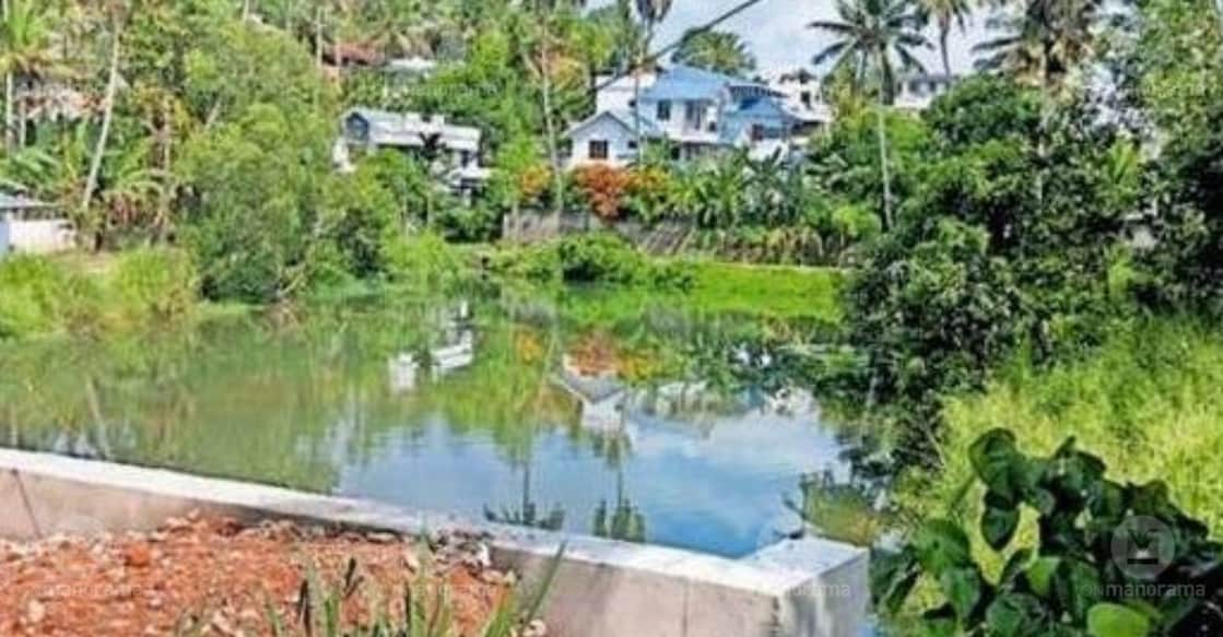 Nambadikkonam pond lies in a state of dangerous neglect, overrun by wild vegetation and damaged retaining walls. photo: special arrangement