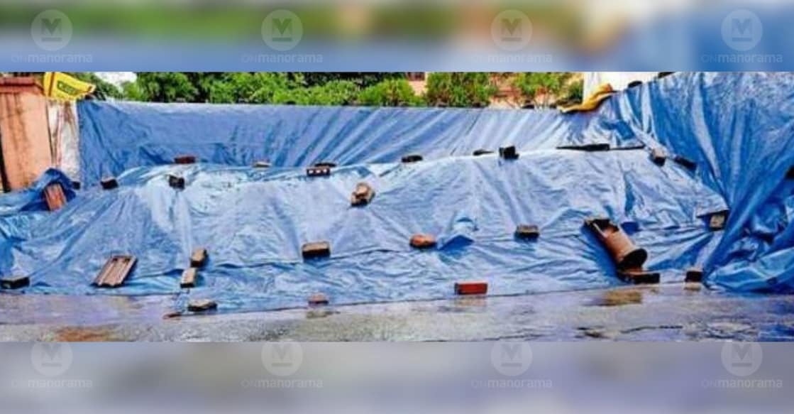 Harvested paddy kept covered under tarpaulin sheets to shield it from the rain. Lacking the facilities to dry their grain, farmers are forced to rely on mills. Meanwhile, though Supplyco has initiated paddy procurement, operations are yet to gather full momentum. photo: special arrangement