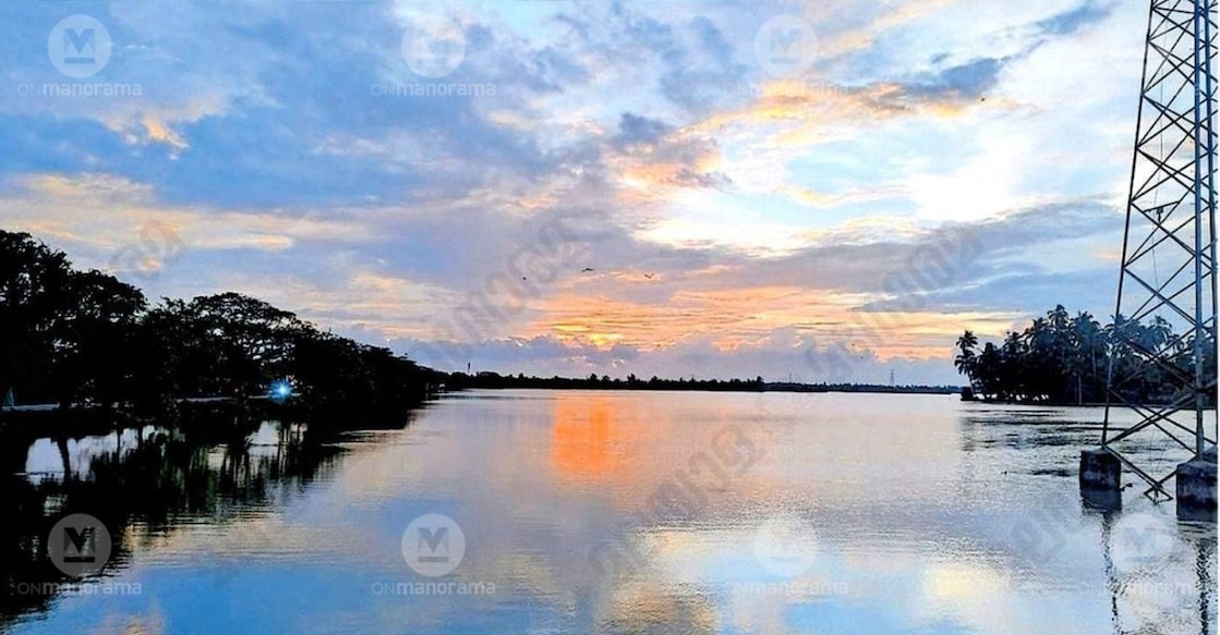 The Kumbalangi–Kandakkadavu paddy fields: widespread wetland reclamation is currently underway across several parts of this region. | photo: special arrangement