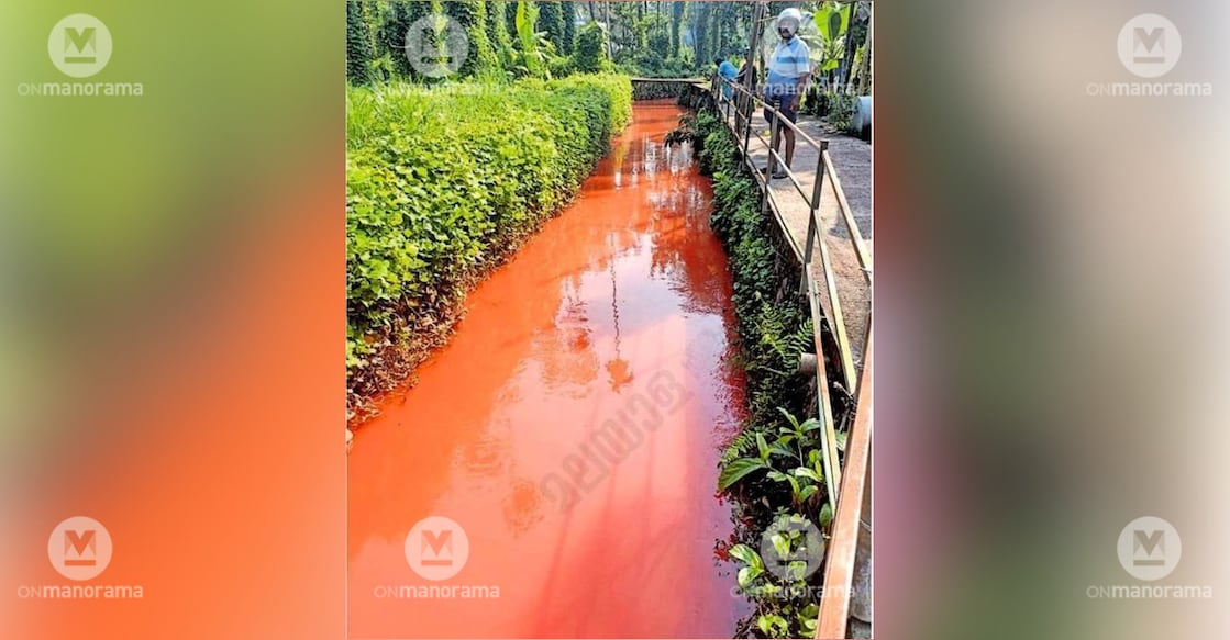 Red-tinted water flowing through the Marakkadi stream in Perambra.Photo: Special Arrangement
