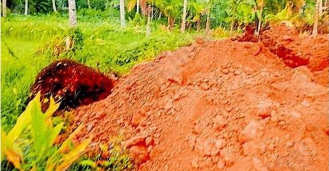 The Puthussery Thazhe paddy fields near Chaniyamkadavu Road, currently being filled with soil. Photo: Special Arrangement.