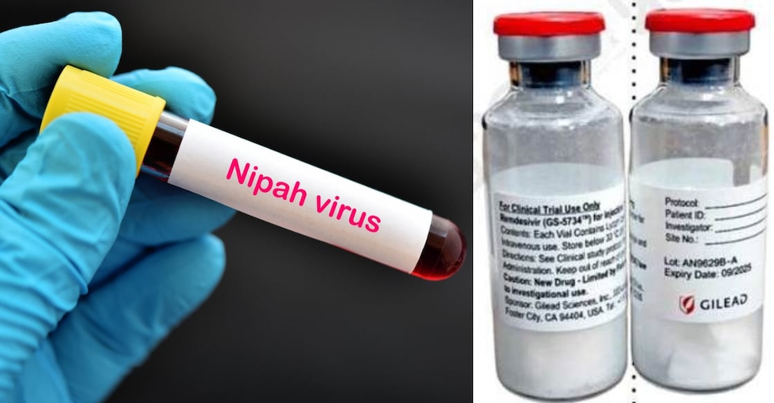 nipah-gilead-drug