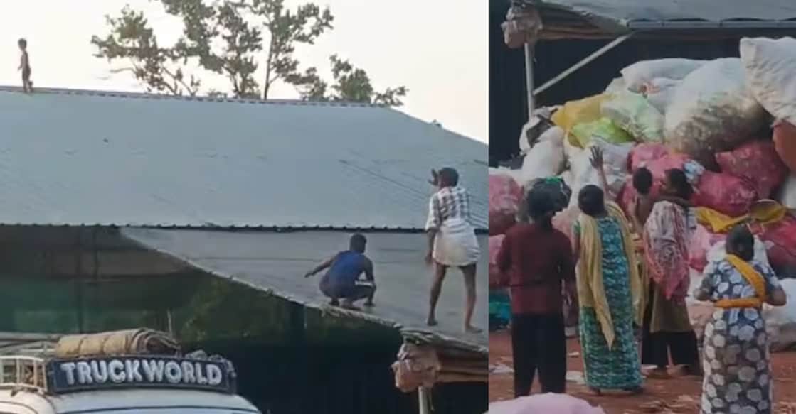 DP picture - palakkad-toddler-on-roof