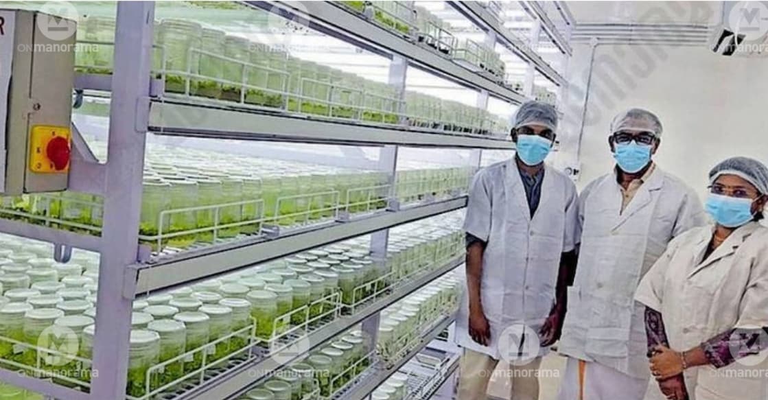 President C.D. Sebastian and Secretary A.T. Sunitha in the Tissue Culture Lab of the Chungathara Service Cooperative Bank. Photo: Special Arrangement