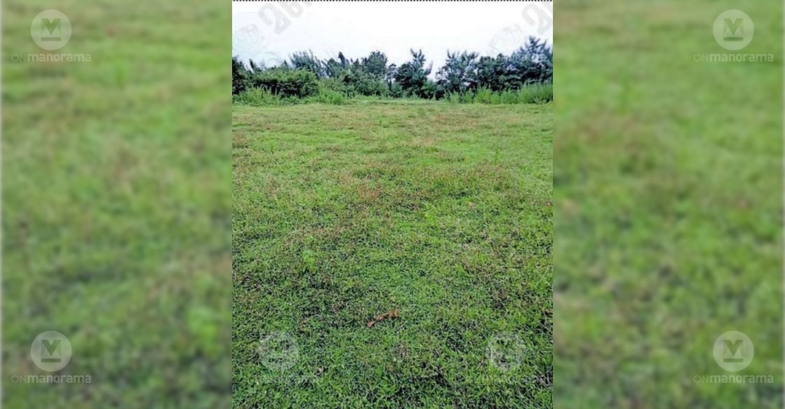 Land designated for the Industrial Smart City project lies unused and overgrown, falling into disrepair. Photo: Special Arrangement