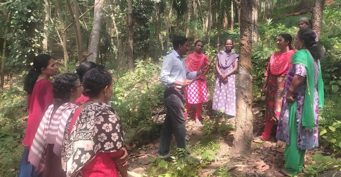 Kerala women attending a latex harvesting training programme organised by the Rubber Board. Photo: Special Arrangement.