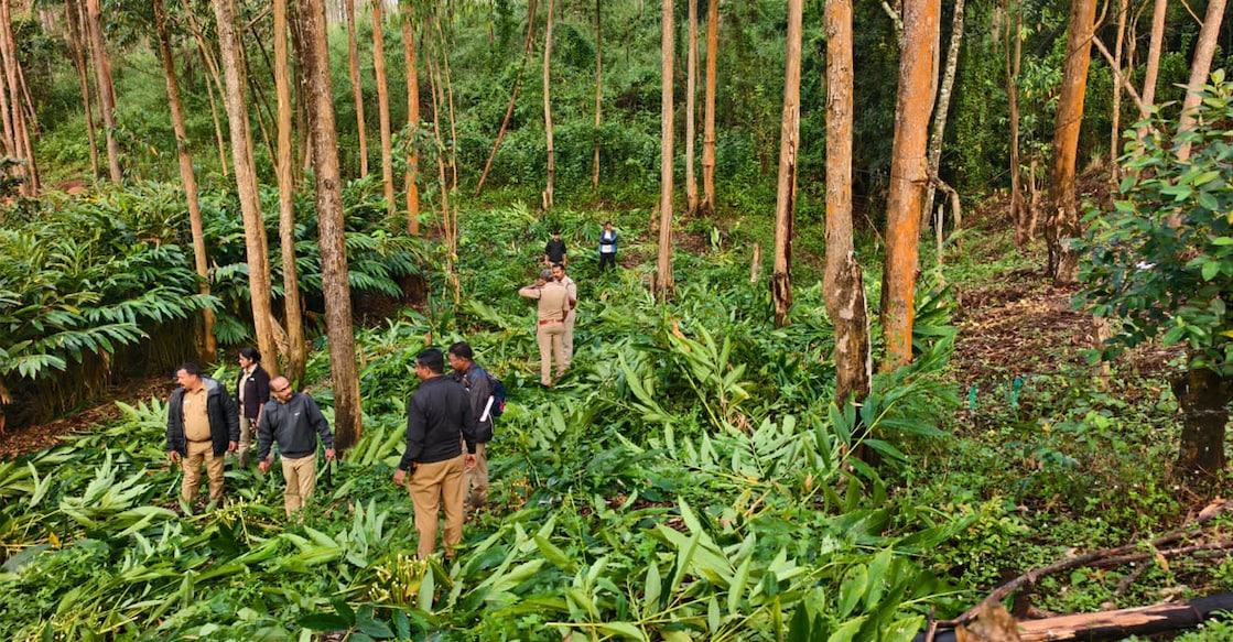 The Forest Department officials clearing illegal enroachments in Chinnakanal. Photo: Special arrangement